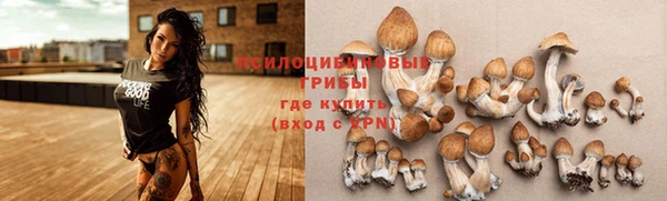 Альфа ПВП Новодвинск