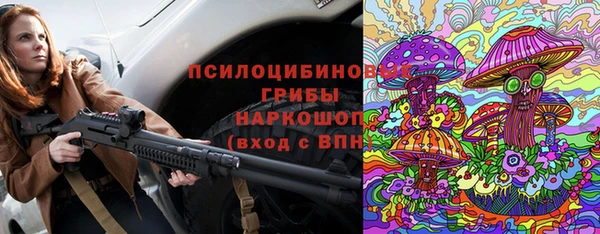 шишки Нефтегорск