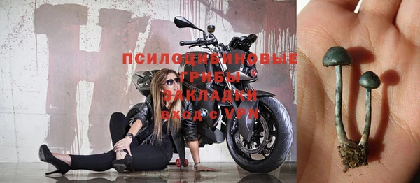 шишки Нефтегорск