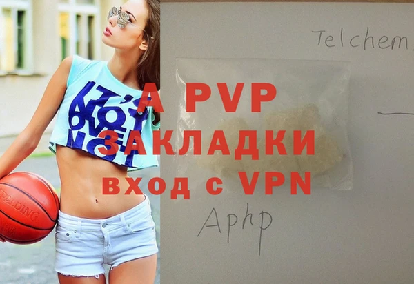 Альфа ПВП Новодвинск