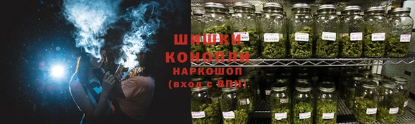 шишки Нефтегорск