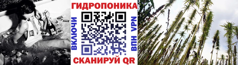 Бошки марихуана THC 21%  где продают   Уржум 